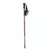 Expedition-walking-Stick-1-web