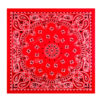 Red-Bandana-Web1